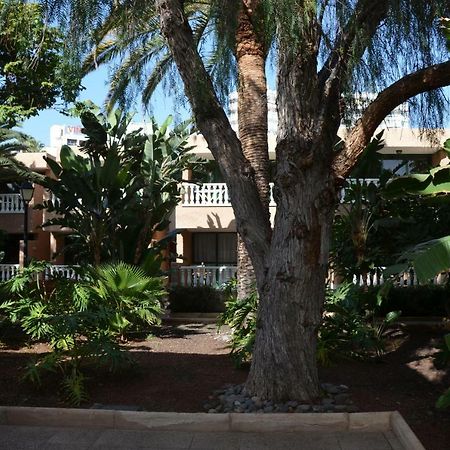 Apartmán Parque De Las Americas Costa Adeje  Exteriér fotografie