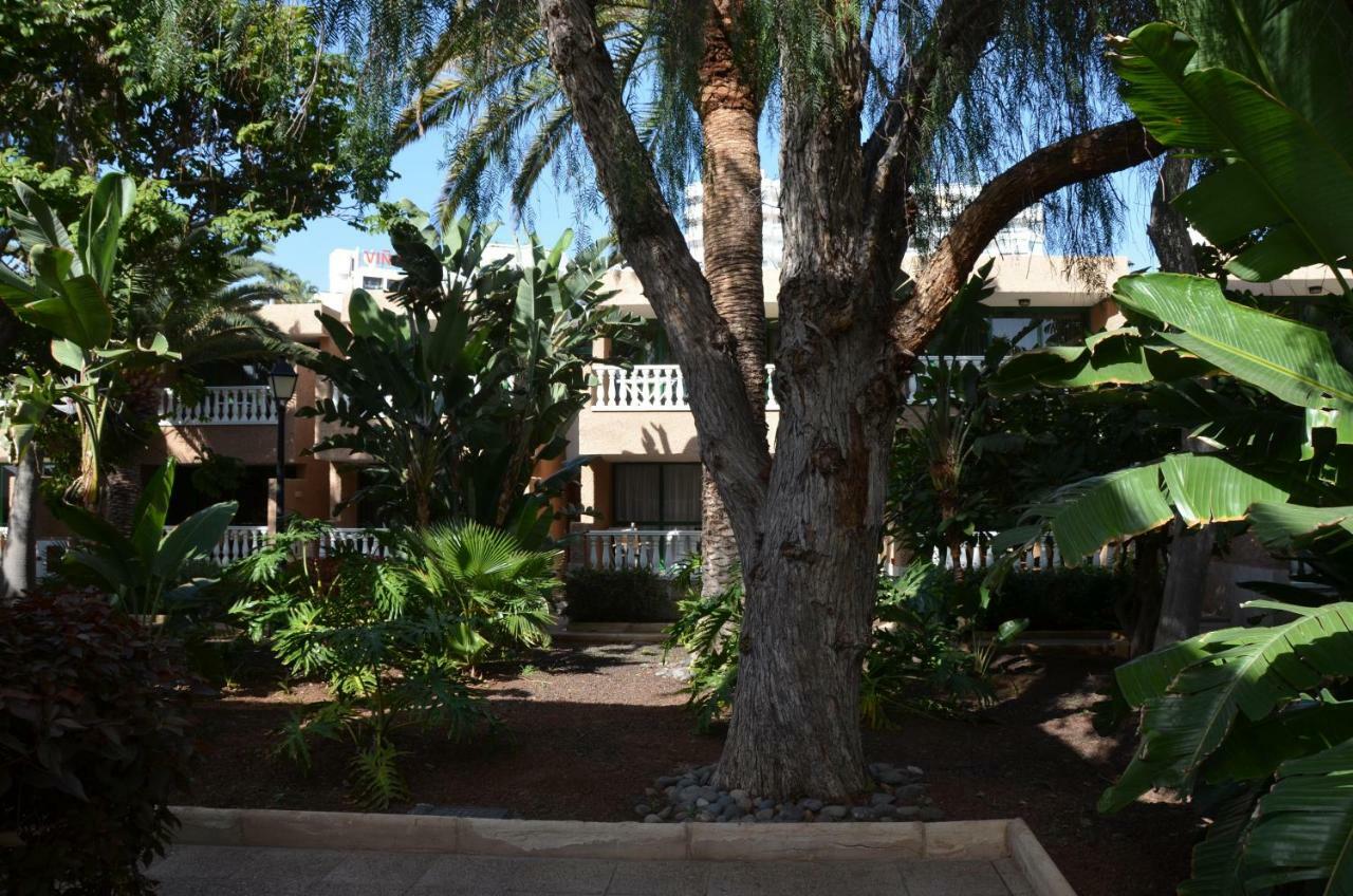 Apartmán Parque De Las Americas Costa Adeje  Exteriér fotografie